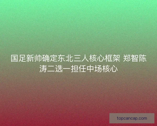 国足新帅确定东北三人核心框架 郑智陈涛二选一担任中场核心